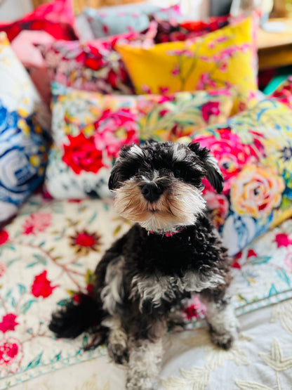 Pink Lillies and Quence Cushion Cover